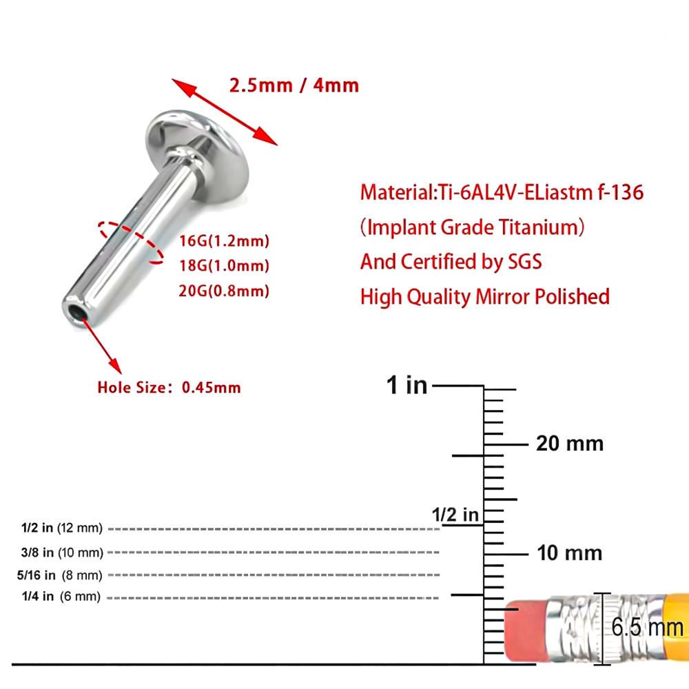 Brand New 10-Piece Set F136 Ti - Body Jewelry Brands recensione e prezzo