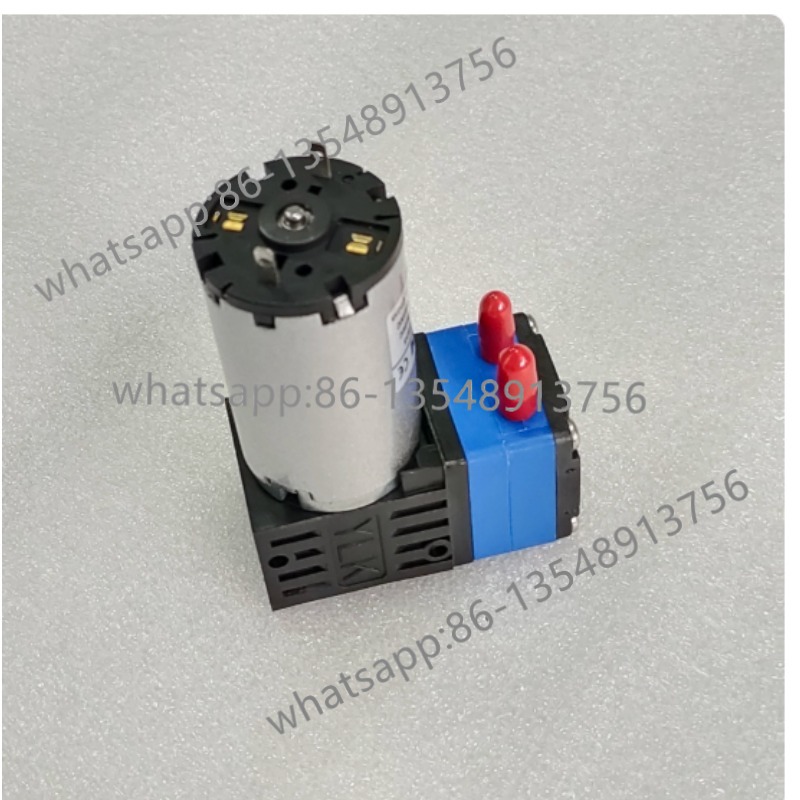 Diaphragm Water Pump DL300EEDC - Body Jewelry Brands recensione e prezzo