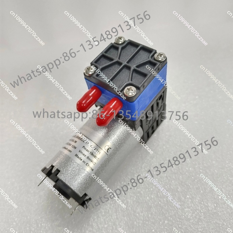 Diaphragm Water Pump DL300EEDC - Body Jewelry Brands recensione e prezzo