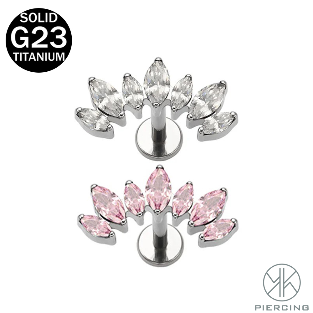 16G 18G F136 Titanium Brand Ne - Body Jewelry Brands recensione e prezzo
