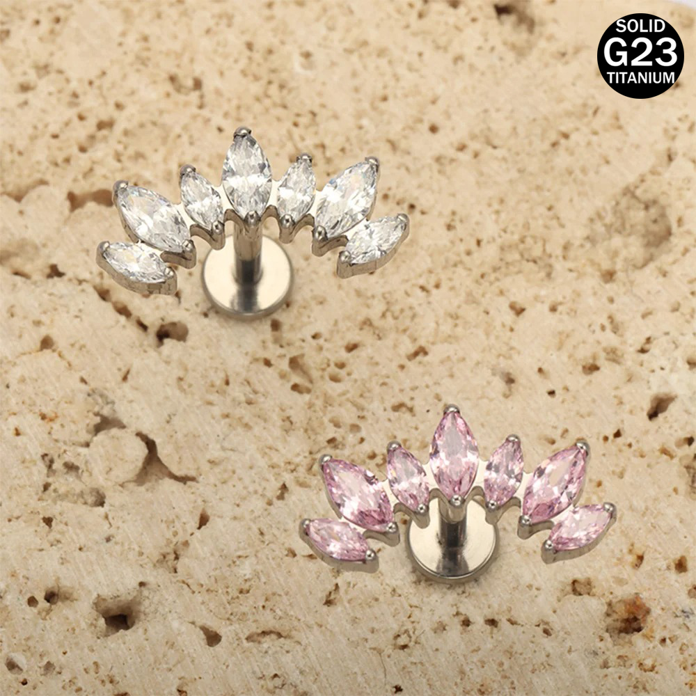 16G 18G F136 Titanium Brand Ne - Body Jewelry Brands recensione e prezzo