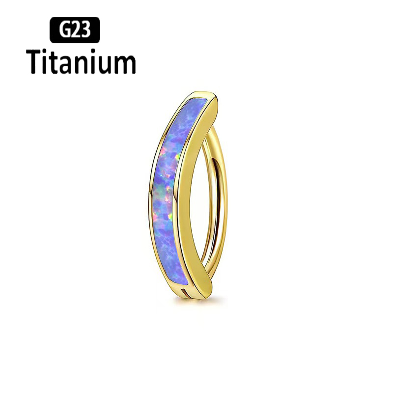 1PC 14G Implant Grade G23 Tita - Body Jewelry Implant Grade Titanium recensione e prezzo