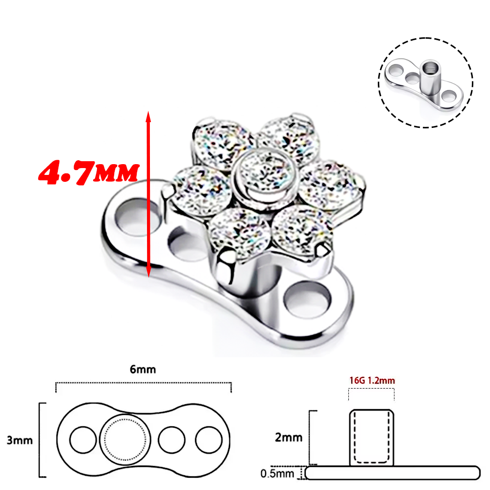 F136 Titanium Alloy High-Quali - Body Jewelry Implant Grade Titanium recensione e prezzo