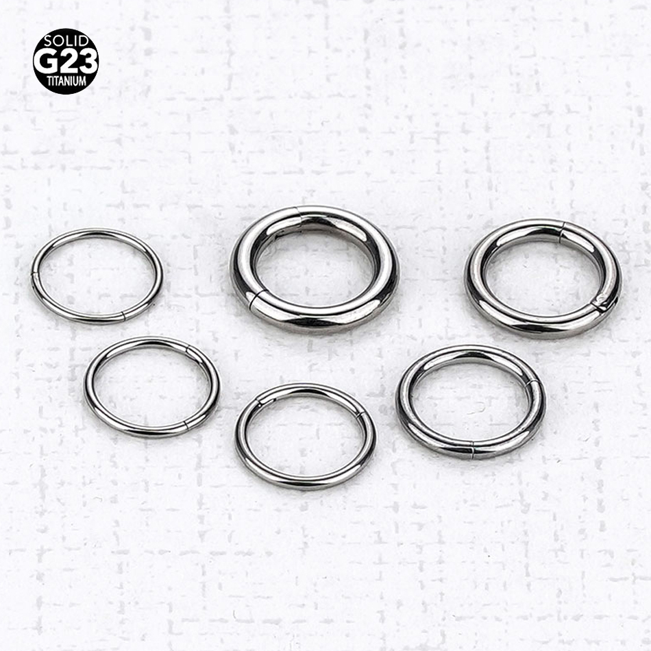 1PC G23 Titanium Hinged Segmen - Body Jewelry Nipple Rings recensione e prezzo