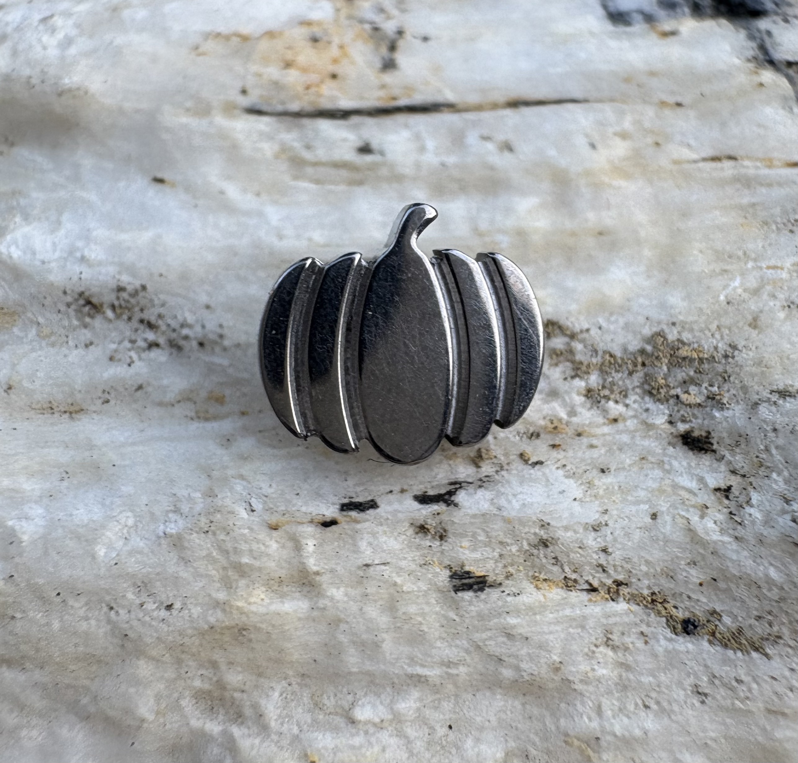 16G Implant Grade Titanium AST - Body Jewelry Implant Grade Titanium recensione e prezzo
